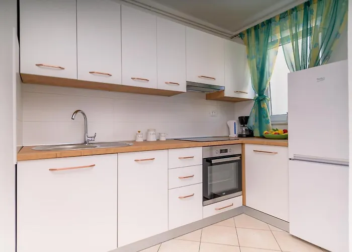 Danica 말리로시니